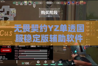 无畏契约YZ单透国服稳定版辅助软件