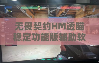 无畏契约HM透瞄稳定功能版辅助软件