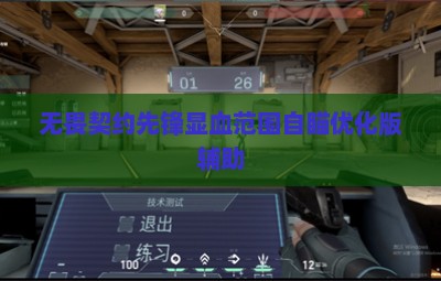无畏契约先锋显血范围自瞄优化版辅助