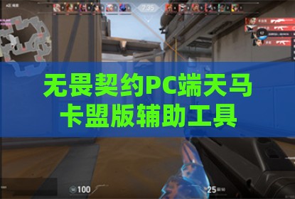 无畏契约PC端天马卡盟版辅助工具