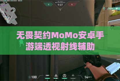 无畏契约MoMo安卓手游端透视射线辅助