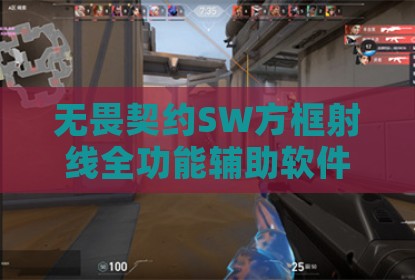 无畏契约SW方框射线全功能辅助软件