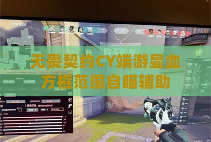 无畏契约CY端游显血方框范围自瞄辅助