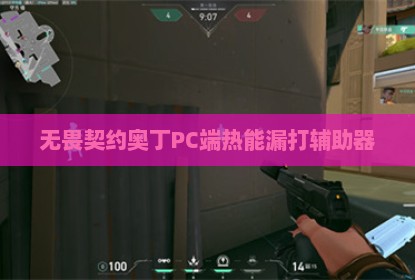 无畏契约奥丁PC端热能漏打辅助器