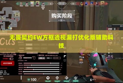 无畏契约EW方框透视漏打优化版辅助科技