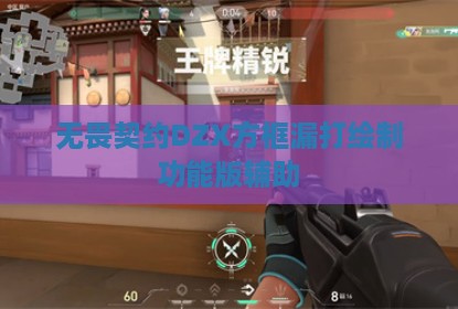 无畏契约DZX方框漏打绘制功能版辅助