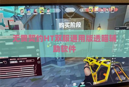 无畏契约HT双服通用版透瞄辅助软件
